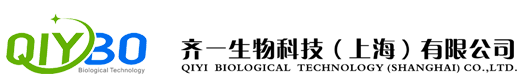 a2.png