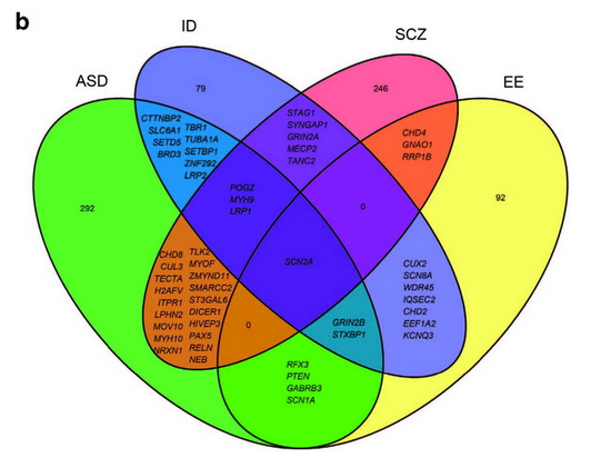 144521770422a4ad53def2cf60.png